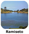 Ramiseto